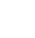 logo FS