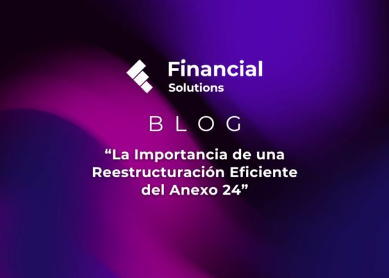 Blog Reestructuración de Inventarios en Anexo 24